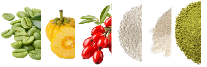 Bryo Appetite Control Coffee Ingredients